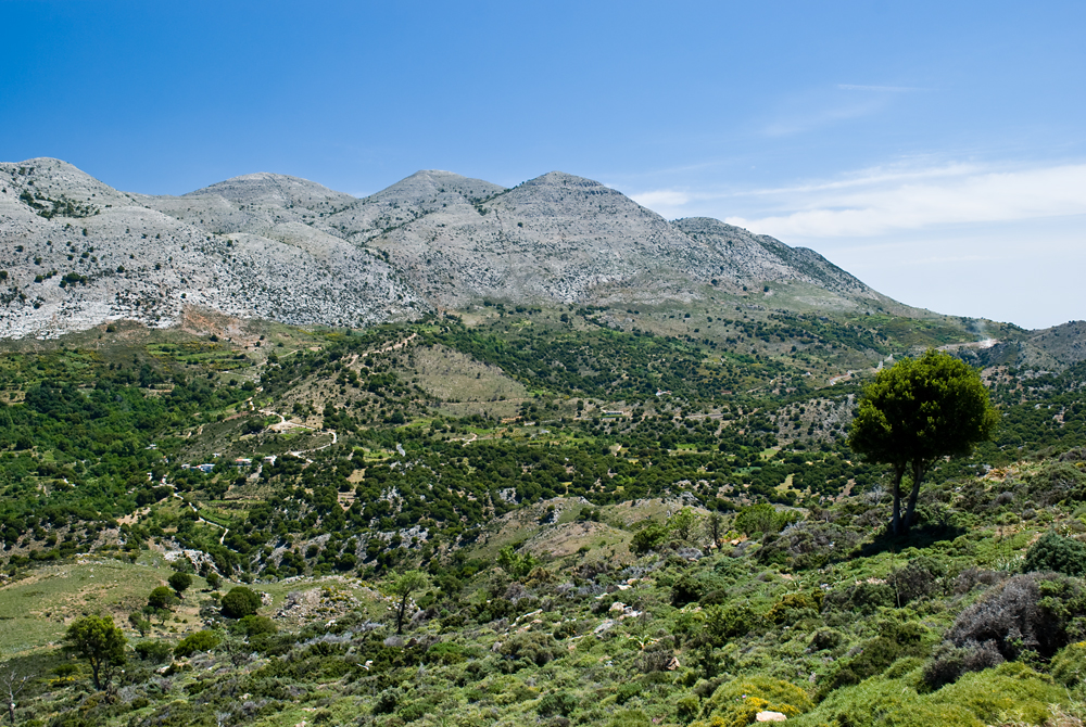 262_Kreta_Selena Oros.jpg